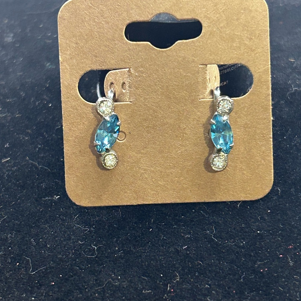 Elegant Blue and Silver screw back Earrings